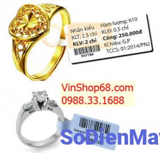 Decal PVC in tem nhãn vàng bạc 60x20mm (tem 30x20mm), đuôi tem 40mm - 2000 tem/ cuộn